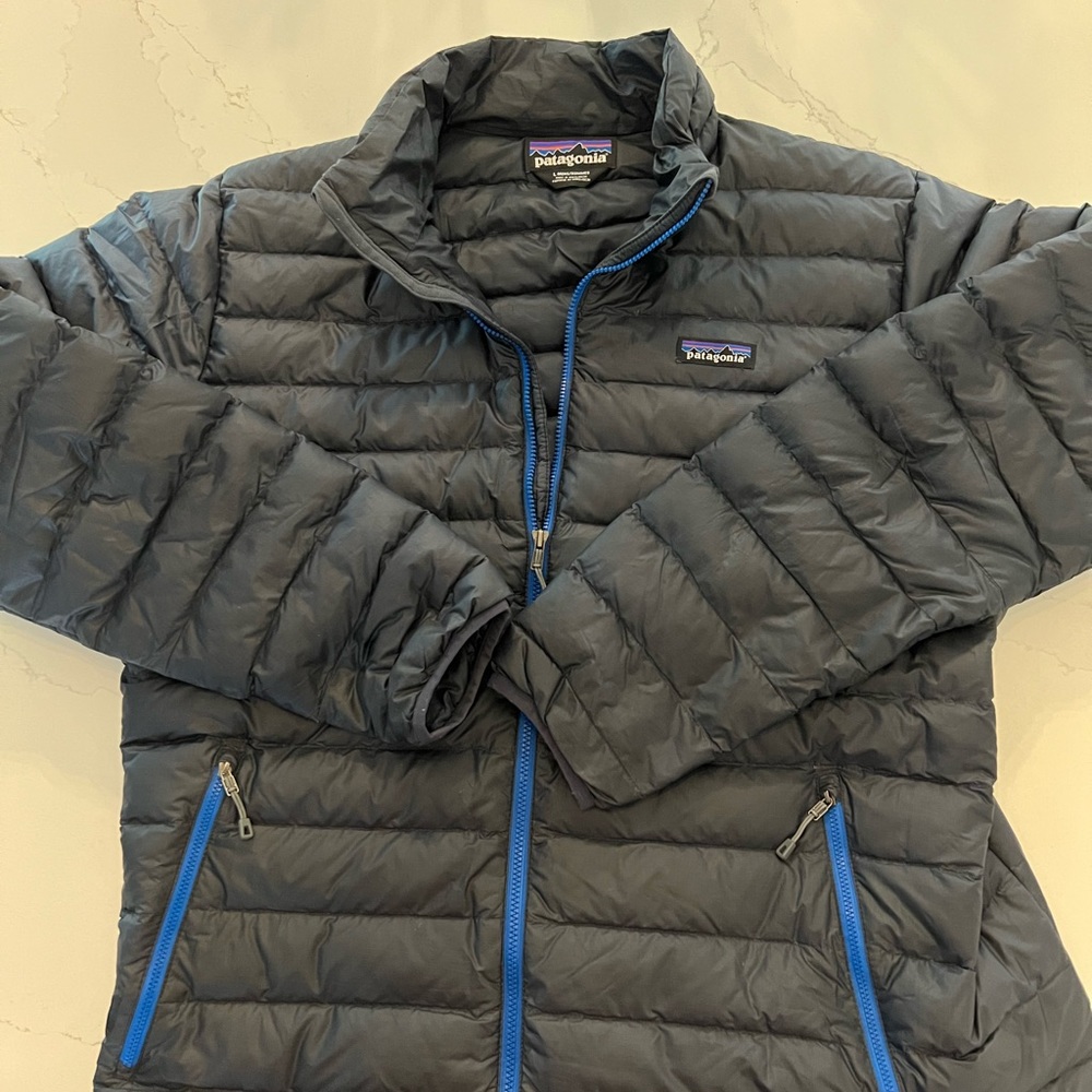 Patagonia Down Sweater Rare Color Large NWOT